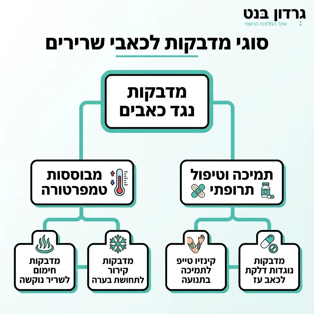 אינפוגרפיקה — סוגי מדבקות לכאבי שרירים: מדבקות נגד כאבים