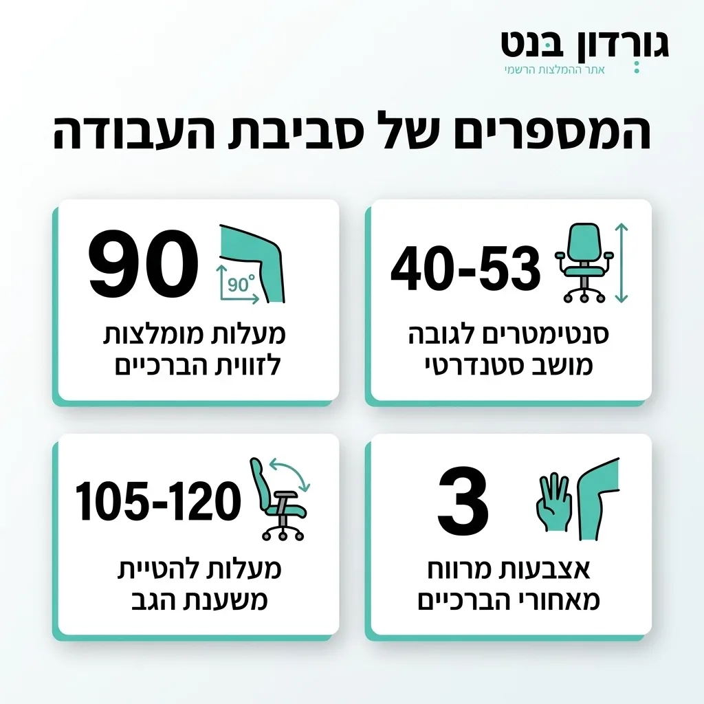 אינפוגרפיקה — המספרים של סביבת העבודה: מעלות מומלצות לזווית הברכיים, סנטימטרים לגובה מושב סטנדרטי, מעלות להטיית משענת הגב, אצ